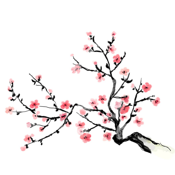 A flourishing branch of cherry, painting. Japanese art.  Bitmap  - Fotografie, Obrázek