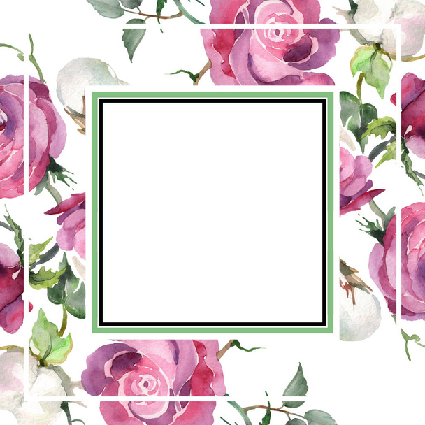 Pink rose and cotton bouquet floral flowers. Watercolor background illustration set. Frame border ornament square. - Fotoğraf, Görsel