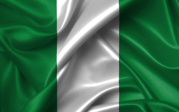 Afrikanische Nationenmeisterschaft 2019, nigerianische Flagge - Foto, Bild