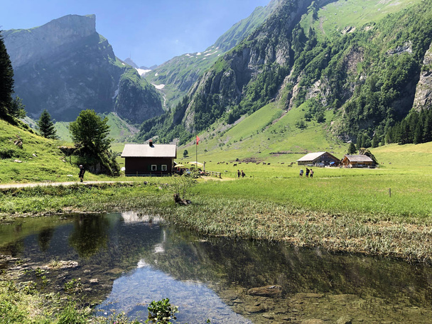 Сільська традиційна архітектура з тваринними господарствами в Апенцеллерланд області та на гірському діапазоні Alpstein-Кантон Аппенцель Innerrhoden (AI), Швейцарія - Фото, зображення