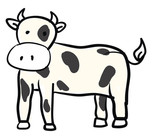 Velká kráva, vektorová nebo barevná ilustrace. - Vektor, obrázek