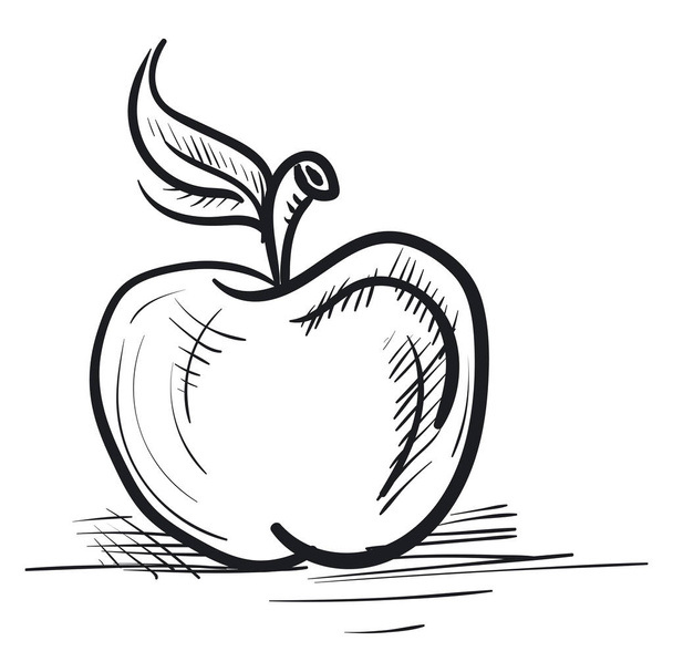 Sketch of a apple, vector or color illustration. - Vector, Image