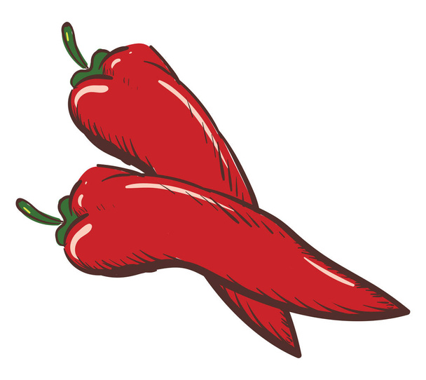 pittige rode peper, vector of kleur illustratie. - Vector, afbeelding