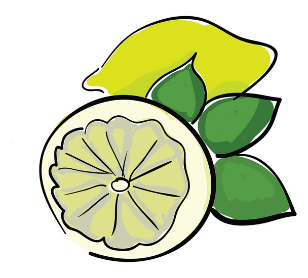 A lemon, vector or color illustration. - Vector, Image