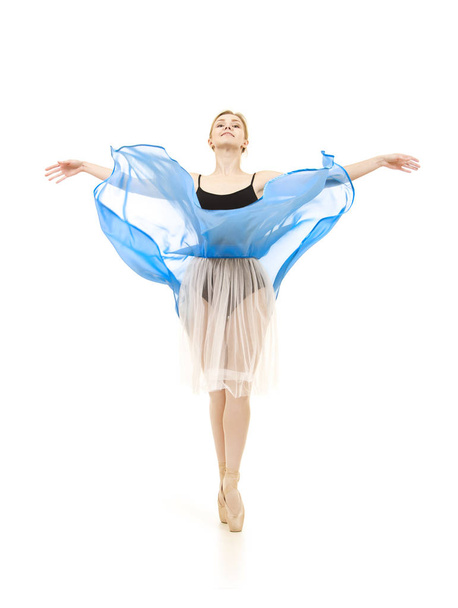Girl in a blue skirt and a black leotard dance ballet. - Фото, зображення