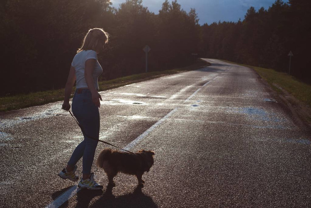 girl walking with a small dog at sunset, girl with a dog walking on the road, - Photo, Image