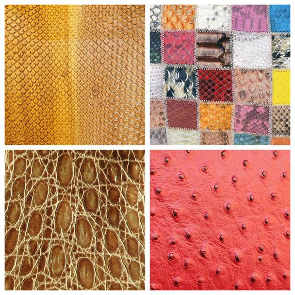 various fine leather samples collage - Photo, Image