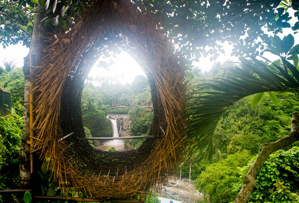 Decorative nest the jungle of Bali island, Indonesia - Fotoğraf, Görsel
