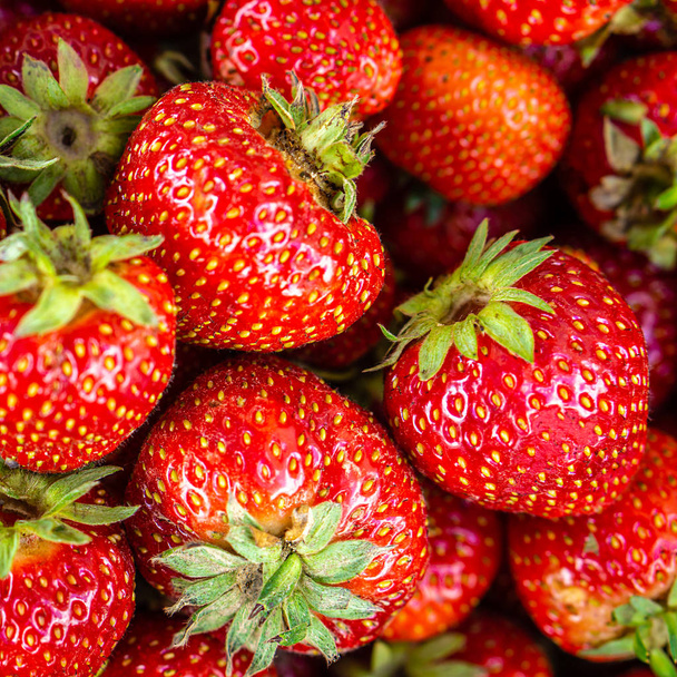 Harvested ripe, sweet garden strawberries.  - Foto, immagini