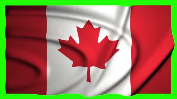 Kanada animacja flaga animacja zielony ekran animacja Kanada Waving Flag Waving zielony ekran Waving Kanada 4K flag 4K zielony ekran 4K Kanada Kanadyjska flaga kanadyjski zielony ekran kanadyjski - Materiał filmowy, wideo