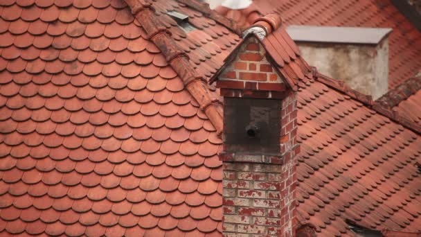 ακόμα το πλάνο του καπνίζοντας καπνοδόχος στη στέγη - Πλάνα, βίντεο