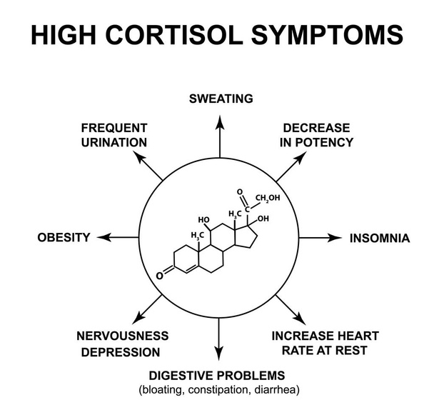 Síntomas de cortisol alto. La hormona del estrés cortisol es una fórmula molecular química. Infografías. Ilustración vectorial sobre fondo aislado
. - Vector, Imagen