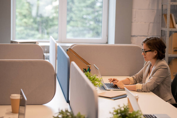 Comerciante jovem inteligente concentrado com cabelo curto sentado na mesa no escritório de espaço aberto e usando laptop enquanto trabalhava na campanha publicitária
 - Foto, Imagem