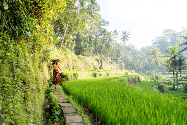 Woman at Tegalalang rice terrace in Bali - Foto, afbeelding