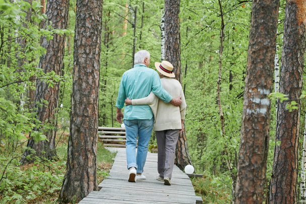 Visão traseira do marido e da esposa seniores amorosos e afetuosos que dão um passeio na floresta em abraço no dia de verão
 - Foto, Imagem