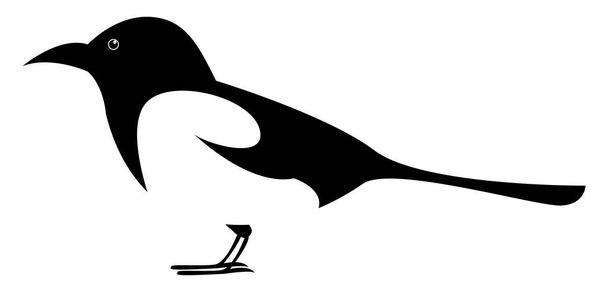Magpie bird, illustration, vector on white background. - Vektor, kép