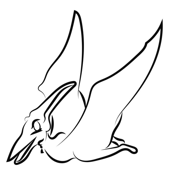 Pteranodon drawing, illustration, vector on white background. - Vektor, obrázek