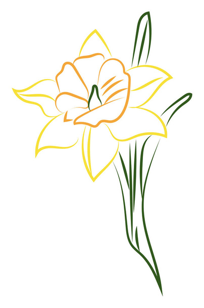 Gelbe Blume, Illustration, Vektor auf weißem Hintergrund. - Vektor, Bild
