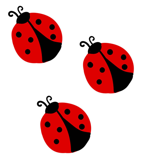Ladybugs, illustration, vector on white background. - Vector, Image