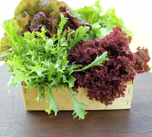 Vihreä ja punainen salaatti laatikossa
 - Valokuva, kuva