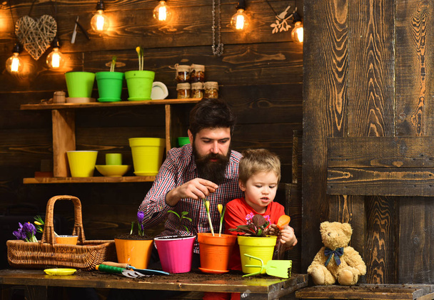 Family day. Greenhouse. Father and son. Fathers day. Flower care watering. Soil fertilizers. happy gardeners with spring flowers. bearded man and little boy child love nature. Caring gardener - Valokuva, kuva