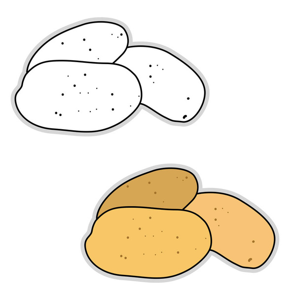 Patata fresca, ilustración, vector sobre fondo blanco
. - Vector, Imagen