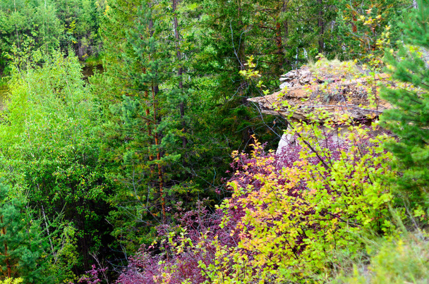 Fényes őszi növényzet a Taiga a hegyoldalon szemben a háttérben az erózió rendellenességek-agyag gomba Yakutia. - Fotó, kép