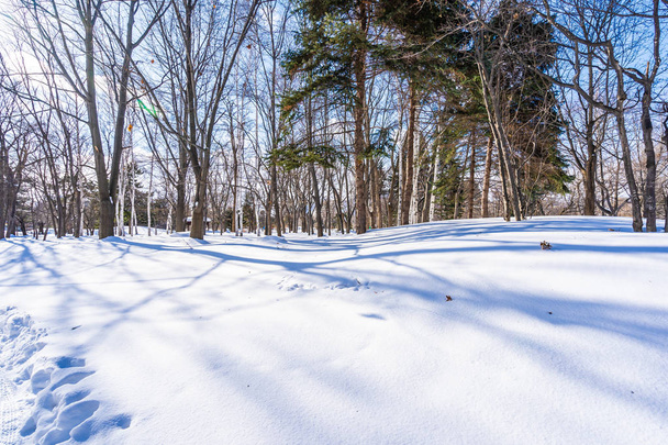 Hermoso paisaje con árbol en la nieve temporada de invierno
 - Foto, imagen
