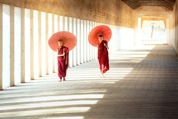 Buddhism novices are walking with umberella in temple - Photo, Image
