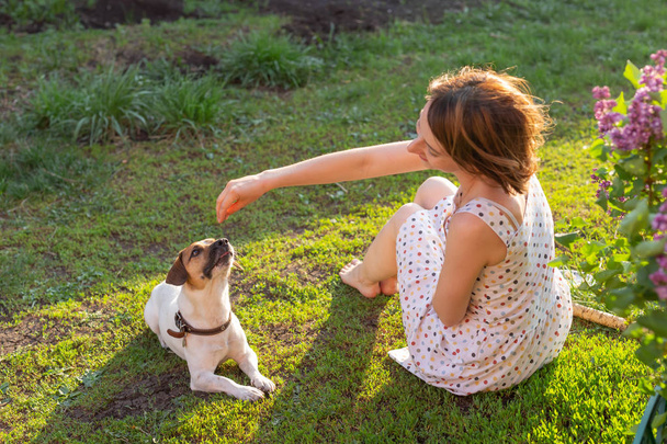 彼女のジャックラッセルテリア犬と一緒に外の草の上で遊んで若い女性 - 写真・画像