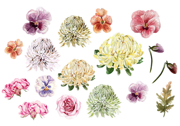 Akvarel podzimní sada s listy, chryzantémy, růže a květy panů. - Fotografie, Obrázek