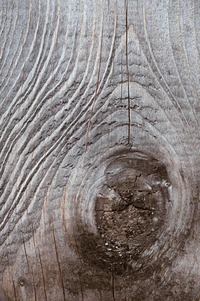 Background from old wood texture. Softwood boards. Annual rings and cuts from branches (knots) Beautiful, natural pattern. Summer, sunny day. - 写真・画像