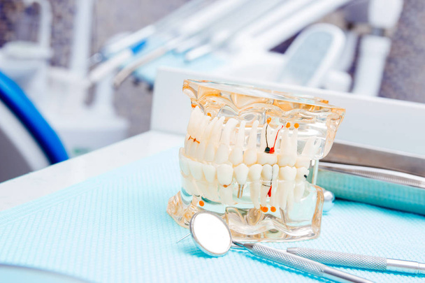 Maniquí de dientes blancos e instrumentos en consultorio dental. Antecedentes dentistas
. - Foto, Imagen
