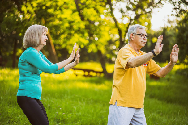 Senior couple is enjoying Tai Chi exercise in park.  - Photo, image