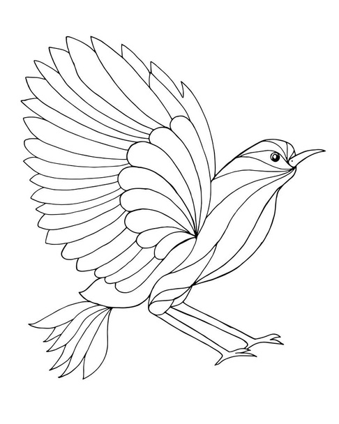 Zentangle stylized cute bird. - Vettoriali, immagini