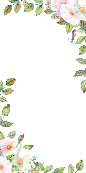 Flores de rosa mosqueta blanca, frutos rojos, hojas verdes, la composición en un marco dorado geométrico. Cartel de flores, invitación. Composiciones de acuarela para el diseño de tarjetas de felicitación o invitaciones. - Foto, Imagen