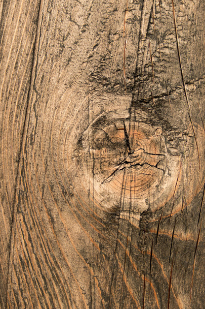 Achtergrond van oude hout textuur. Softwood planken. Jaarlijkse ringen en bezuinigingen van takken (knopen) mooi, natuurlijk patroon. Zomer, zonnige dag. - Foto, afbeelding