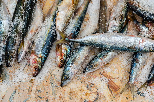 Pesce intero crudo biologico allo sgombro con sale marino adagiato su un fondo piatto
 - Foto, immagini