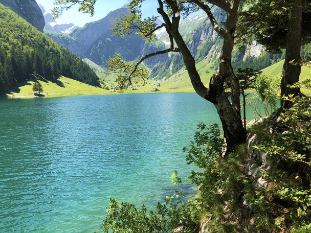 アルプシュタイン山脈とアッペンツェラーランド地域のアルパイン湖ゼアルプゼー - アッペンツェル・インナーローデン(Ai)の広州、スイス - 写真・画像