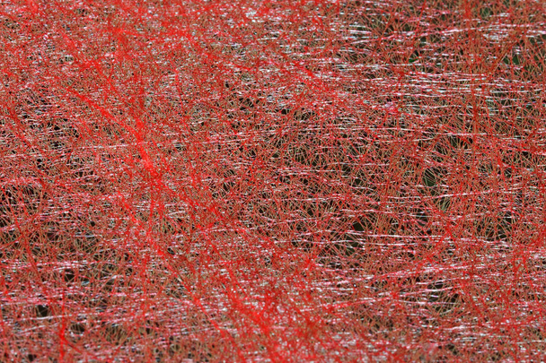 Кровавый красный фон из тонкого войлока на темном фоне с c
 - Фото, изображение