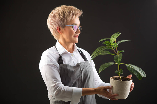 mooie oudere vrouw in een schort en een bril op een zwarte achtergrond met een plant in haar handen - Foto, afbeelding