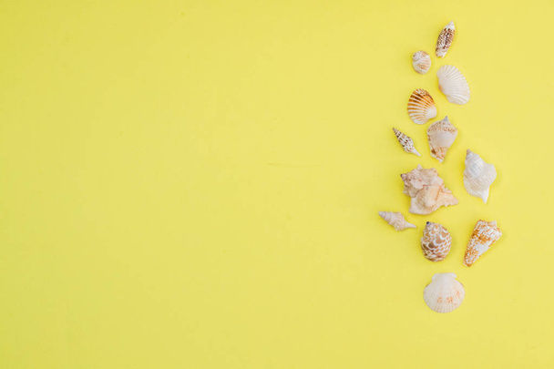 Seashells on a yellow background top view, copy space - Фото, изображение