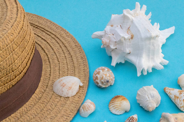 Hat and shells on a blue background, summer mood - Photo, Image