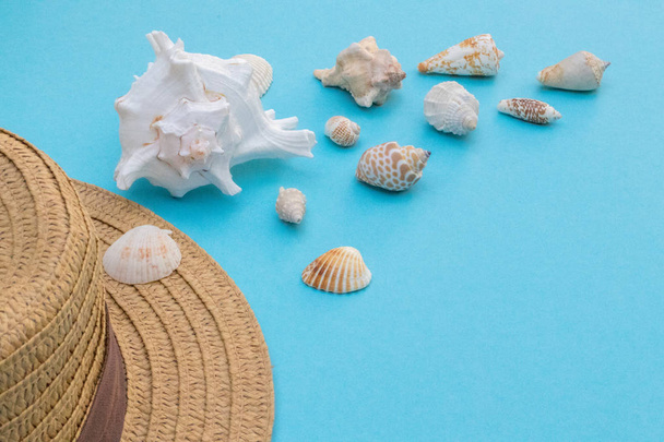 青い背景に帽子と貝殻、夏の気分 - 写真・画像