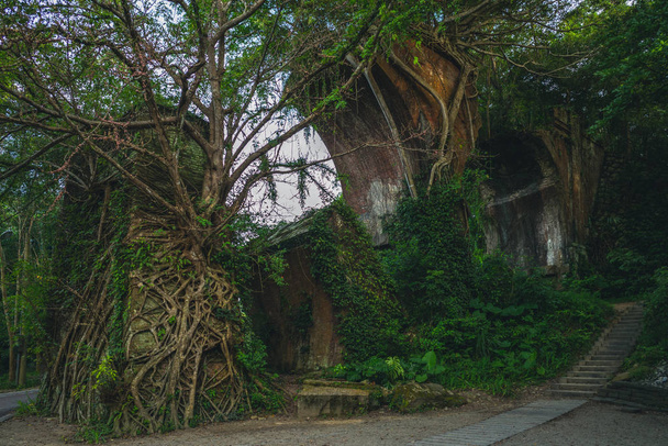 Ruiny mostu Longteng Bridge, okres Miaoli, Tchaj-wan - Fotografie, Obrázek