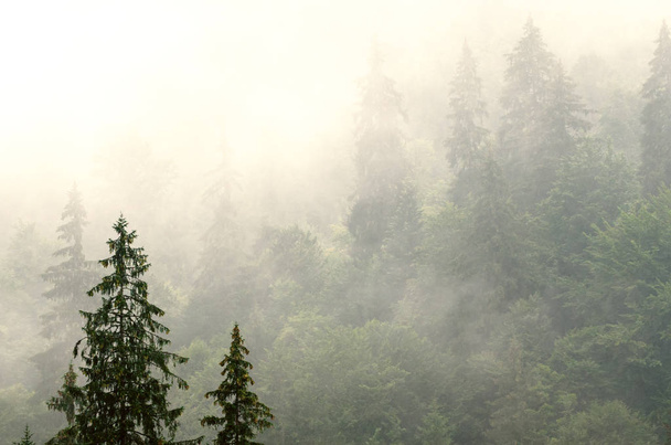 Misty mountain landscape - Foto, immagini