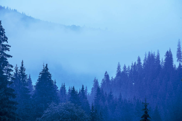 霧深い山の風景 - 写真・画像