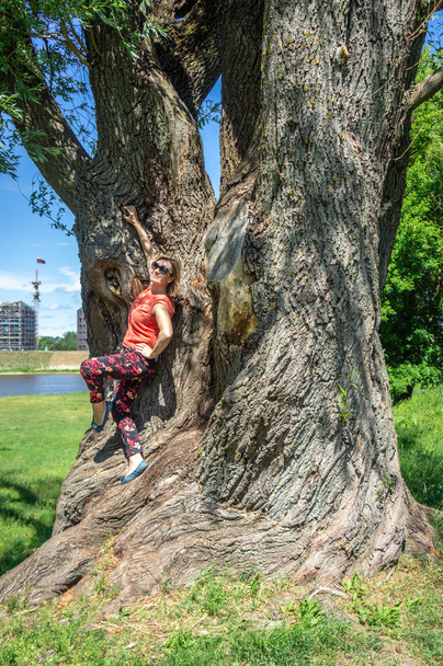 Dojrzały kobieta turystyczny odpoczynek w pobliżu a ogromny drzewo - Zdjęcie, obraz