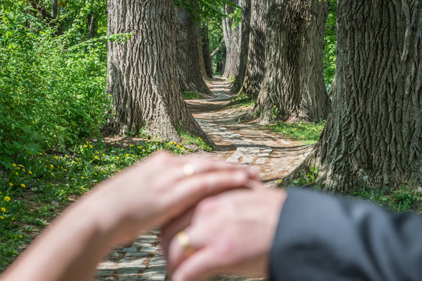 Nowo poślubiona para przed symboliczną ścieżką życia w bajkowym lesie, Niemcy - Zdjęcie, obraz