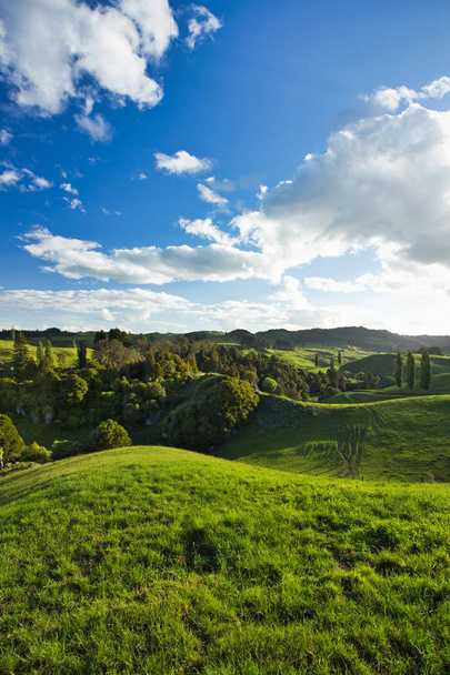 Nieuw-Zeelandse landschap, Waitomo Area - Foto, afbeelding